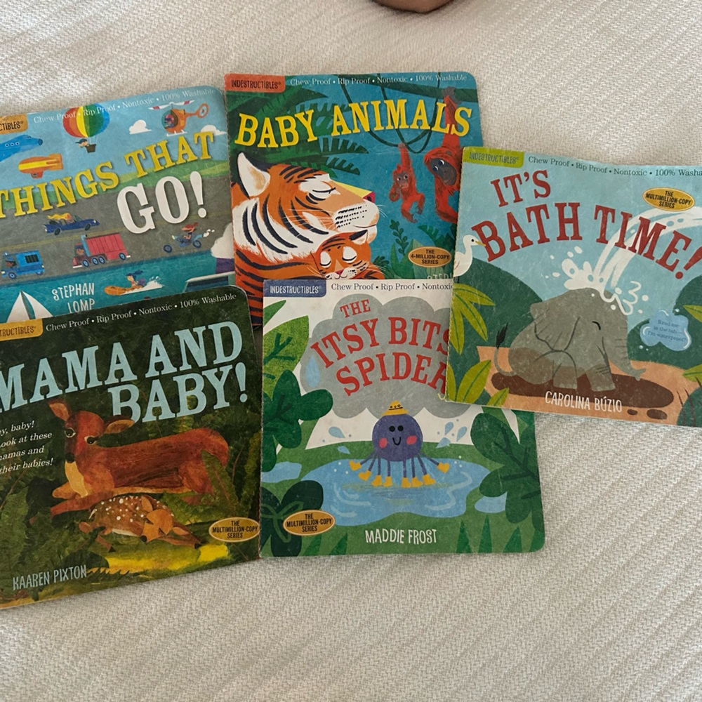 Children's Indestructibles Books Set